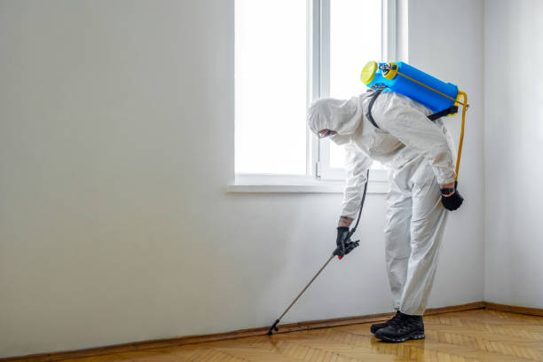 Best Pest Control Near Me  in Webster, FL