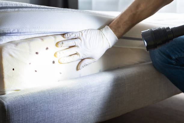 Best Commercial Pest Control Services  in Webster, FL