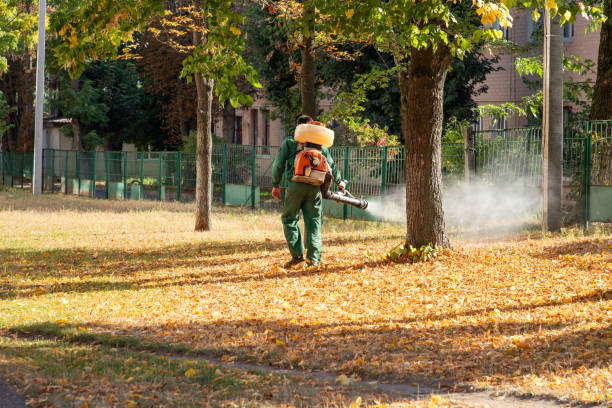 Professional Pest Control in Webster, FL