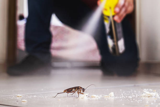 Pest Control Cost in Webster, FL