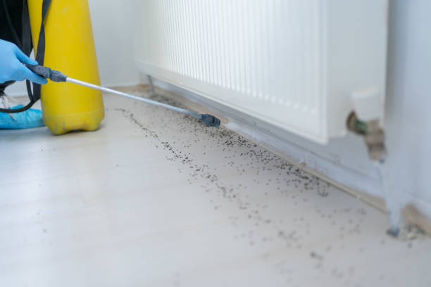 Best Wildlife Control Services  in Webster, FL